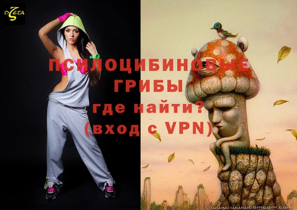 мяу мяу мука Няндома