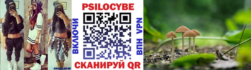 Галлюциногенные грибы MAGIC MUSHROOMS  купить наркотики цена  Ртищево 